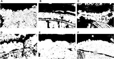 Vegetation extraction in riparian zones based on UAV visible light images and marked watershed algorithm